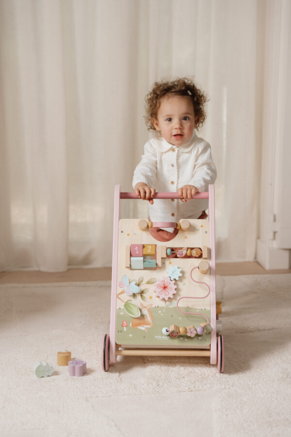 Primi passi multi-attivit  - Fairy Garden FSC